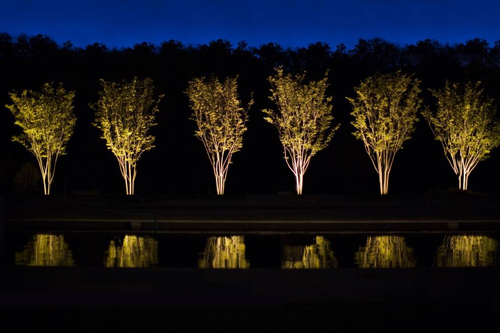 Фотография к новости Ландшафтный дизайн: как сделать подсветку деревьев